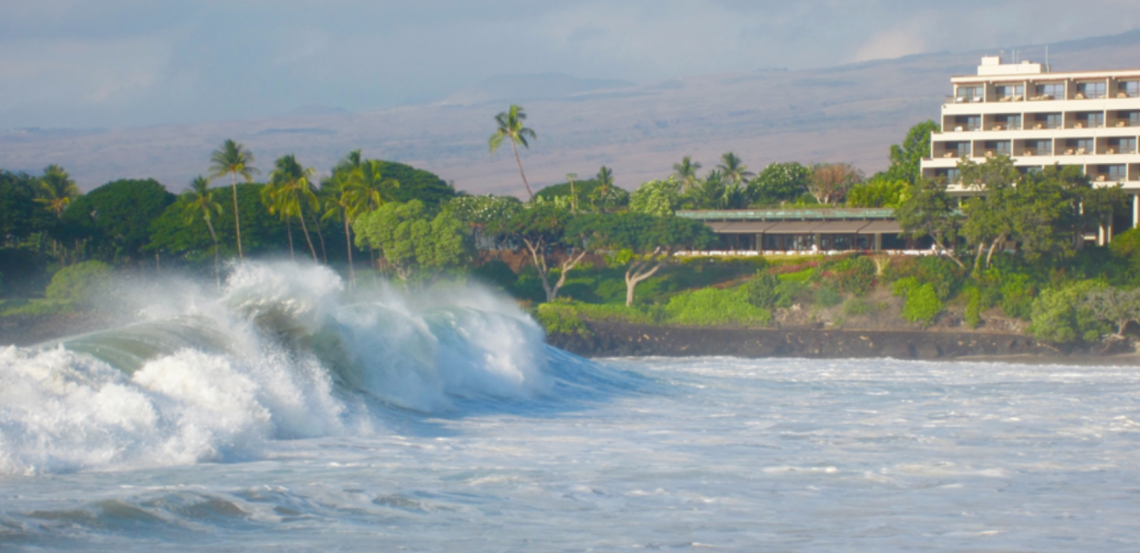 Hapuna beach deals waves